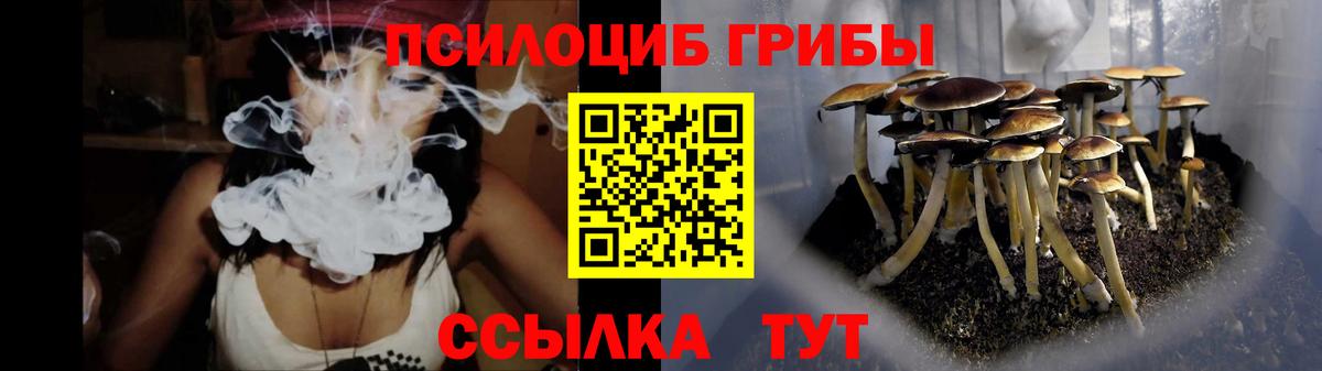 Галлюциногенные грибы MAGIC MUSHROOMS Новоалтайск